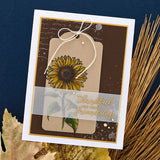 Spellbinders Clear Stamp Set Sunflower Greetings (STP-213)