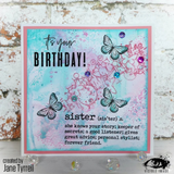 Visible Image, Clear Stamps, A7 Stamp Set, Sister Definition (NR2392)