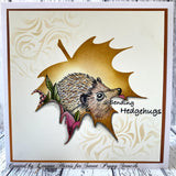 Sweet Poppy Stencil, Aperture Maple Leaf (SP6-125ML)