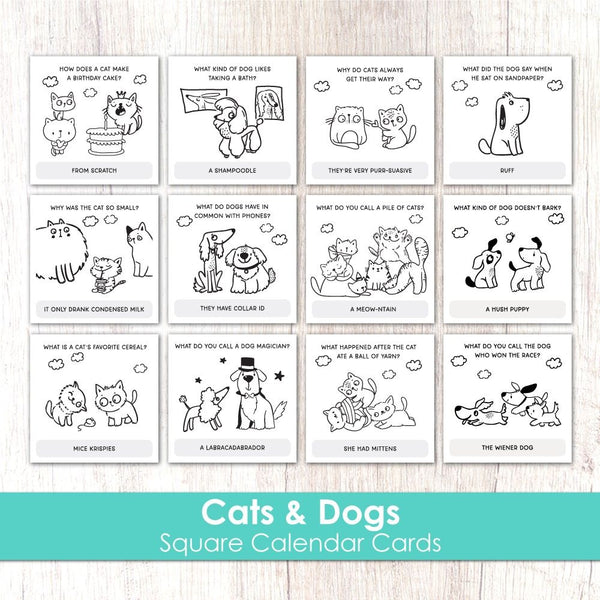 Taylored Expressions, Square Calendar Cards, Cats & Dogs