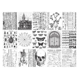 Tim Holtz Idea-ology, Collage Paper (TH94393)