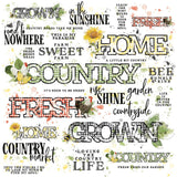 49 And Market, Vintage Artistry Countryside, 12×12 Sentiments Rub-on Transfer Sheet (VAC-38749)