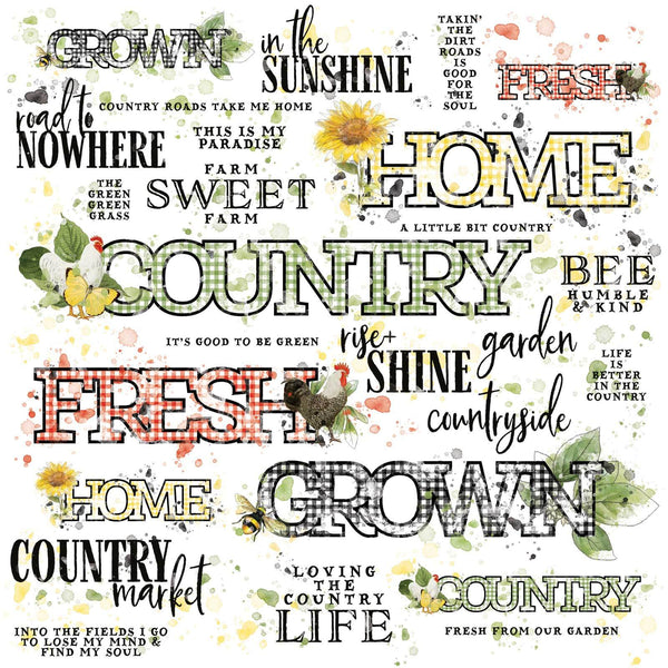 49 And Market, Vintage Artistry Countryside, 12×12 Sentiments Rub-on Transfer Sheet (VAC-38749)