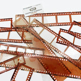 49 And Market, Vintage Bits, Essential Filmstrips, Citrus (VB-37667)