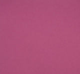 Prism Studio, 12X12 Whole Spectrum Smooth Cardstock, 92.3lb (Assorted Colors)
