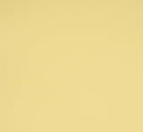 Prism Studio, 12X12 Whole Spectrum Smooth Cardstock, Jessamine, 80 lb (WSB12-5800)