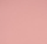 Prism Studio, 12X12 Whole Spectrum Smooth Cardstock, Azalea, 92.3 lb (WSB12-5831)