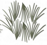 Dee's Distinctively a cut above, Thinlits Dies by Deanna Pannell, White Pine Needles (IME-199)