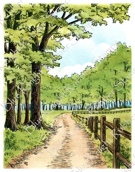 Blue Knight Rubber Stamps by Mary Barrows, Wooded Lane