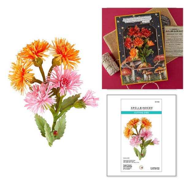 Spellbinders, Tassel Flower and Ladybugs Etched Dies by Susan Tierney-Cockburn (S4-1482)