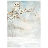 Stamperia, Assorted Mini Rice Paper Backgrounds A6 8/Sheets, The Owl's House (DFSAK6044)
