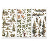 49 And Market Blendable Rub-On Transfer Set 6"X12", Timber & Tweed (DTT-34752)