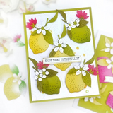 Spellbinders Etched Dies, La Dolce Vita, Citrus Spritz (S2-445)