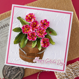 Spellbinders, Primrose Etched Dies by Susan Tierney-Cockburn (S2-447)