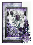 Studio Light, Clear Stamps by Hazel Eaton, Nature's Dream 2, Botanicals