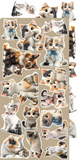 Craft O'Clock, Creative Extras Set, Lovely Pets, Mix 02 (CC-CEX-MIX-02)