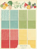 Graphic 45 Patterns & Solids Collection Pack 8.5"X11", Slice of Life (4503231)