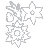 Sizzix, Clear Stamps Set 16PK w/7PK Framelits, Poinsettia Trio by 49 and Market (667015)