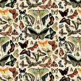 Tim Holtz Idea-ology, Double-Sided Cardstock 12"X12" 12/Pkg, Palette Collection: Teal (TH94461)