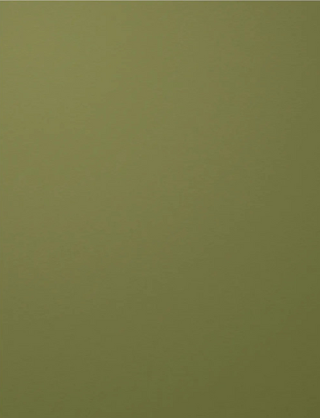Canson, Colorline 150gsm (92lb) Paper, 8.5" x 11", Khaki Green 89