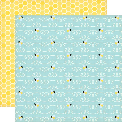 Echo Park Paper, Country Drive, Double-Sided Cardstock 12"X12", Bee's Knees (CD16008)
