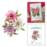 Spellbinders, Astrantia Etched Dies by Susan Tierney-Cockburn (S5-711)
