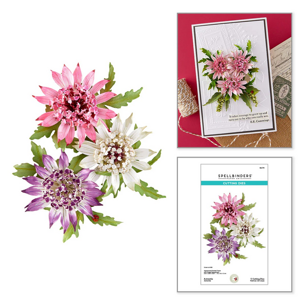 Spellbinders, Astrantia Etched Dies by Susan Tierney-Cockburn (S5-711)