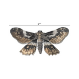 Tim Holtz Idea-Ology Transparent Acetate, Moths, 26/pkg (TH94403)
