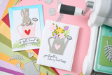 Sizzix Clear Stamps Set By Catherine Pooler 16/Pkg, Sending Sunshine Sentiments (666793)