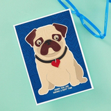Spellbinders, Clear Stamp, Cats and Pugs Collection by Bibi Cameron, Cats and Pugs Sentiments (STP-232)