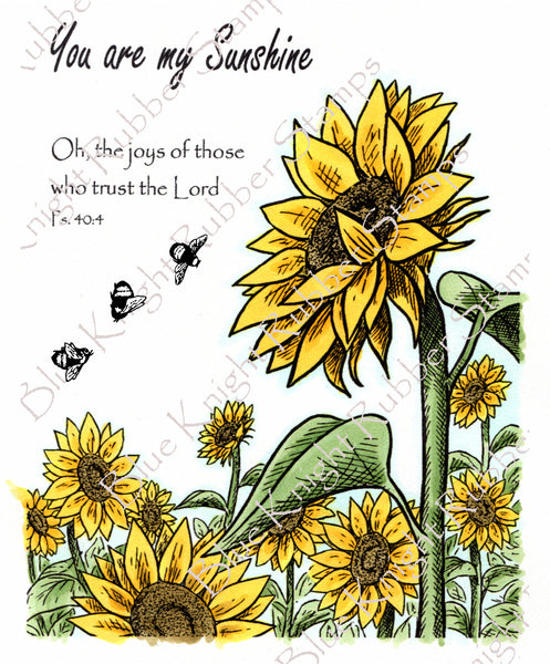 Blue Knight Rubber Stamps by Mary Barrows, Sunflower Sunshine