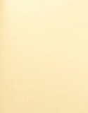 Spellbinders, Treasured Cardstock 8.5"X11", Gold Mirror Metallic (SCSP-034)