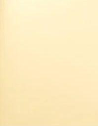 Spellbinders, Treasured Cardstock 8.5"X11", Gold Mirror Metallic (SCSP-034)