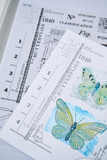 Sizzix, Clear Stamps Set 24PK, Wings & Things by 49 and Market (667183)
