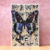AALL & Create, Layer-It-Up Washi Tape, #117, Coral Wings