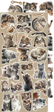 Craft O'Clock, Creative Extras Set, Lovely Pets, Mix 02 (CC-CEX-MIX-02)