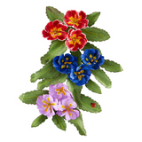 Spellbinders, Primrose Etched Dies by Susan Tierney-Cockburn (S2-447)