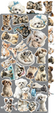 Craft O'Clock, Creative Extras Set, Lovely Pets, Mix 02 (CC-CEX-MIX-02)