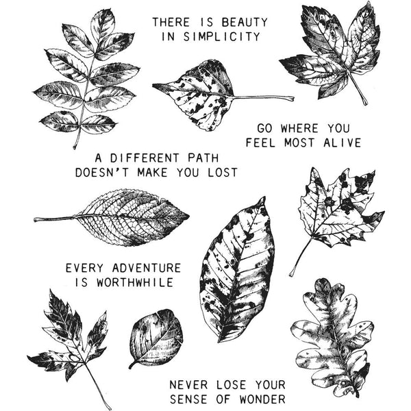 Stampers Anonymous, Tim Holtz Cling Stamps 7"X8.5", Nature's Wonder (CMS343)