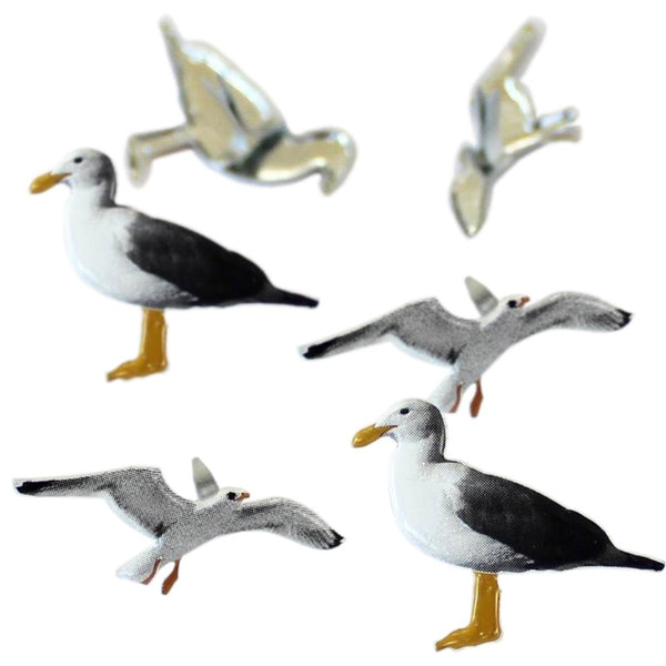 Shape Brads 12/Pkg, Seagull