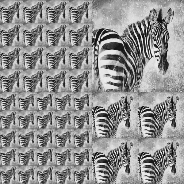 African Safari, 12"x12" Cardstock, Multiple Zebras Small Black & White
