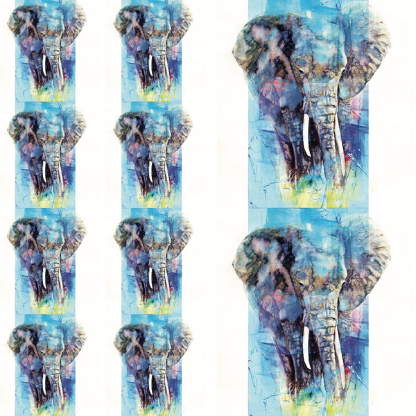 African Safari, 12"x12" Cardstock, Multiple Elephants Blue