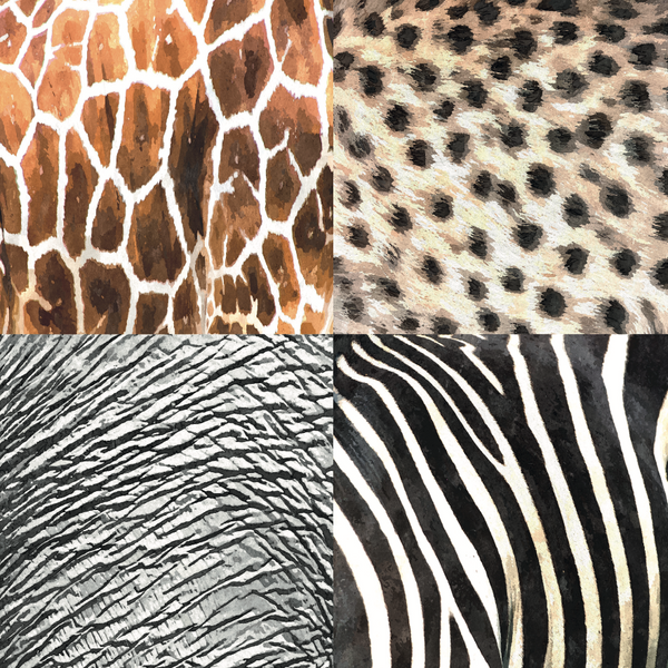 African Safari, 12"x12" Cardstock, Four Skins