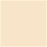 Bazzill Mono Cardstock 12"X12", Twig/Canvas, 80lbs