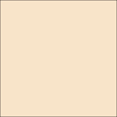 Bazzill Mono Cardstock 12"X12", Twig/Canvas, 80lbs