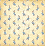 12"x12" Double-Sided Peter's World Collection Pack