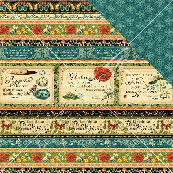 Graphic 45, Nature Sketchbook Collection, Double-Sided Cardstock 12"X12", Seasonal Splendor