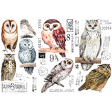 Prima Marketing, Re-Design Decor Transfers, Owl