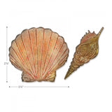 Sizzix, Bigz Die W/Texture Fades Embossing Folder By Tim Holtz, Seashells