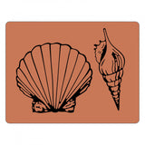Sizzix, Bigz Die W/Texture Fades Embossing Folder By Tim Holtz, Seashells